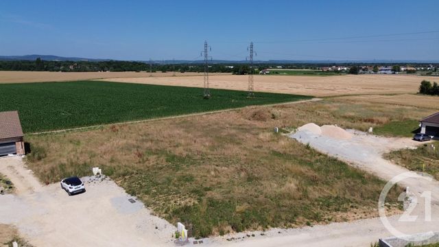 terrain - CHATENOY LE ROYAL - 71